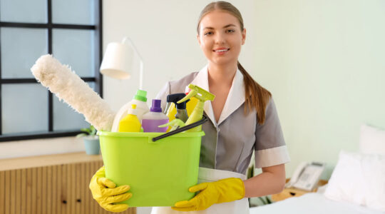 femme de ménage à Lyon.png